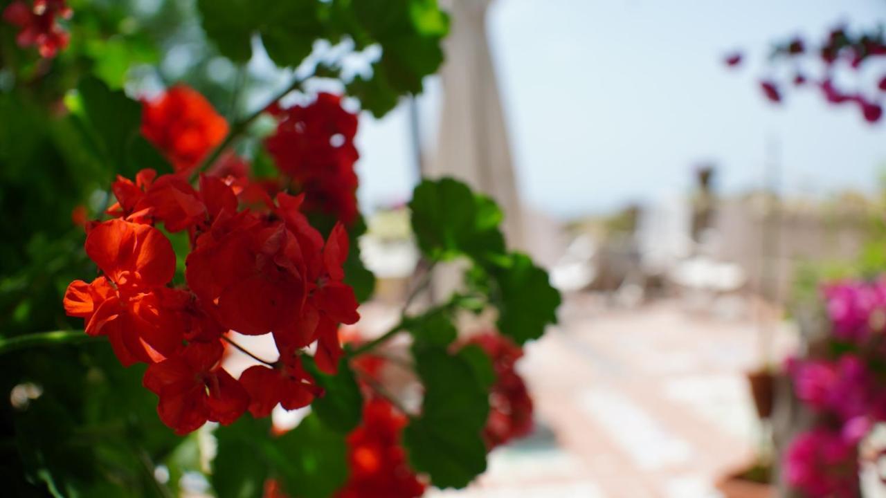 Residence Solaride Apartments, Free Private Parking With Videosurvelliance And Shuttle Service Salerno Exterior foto